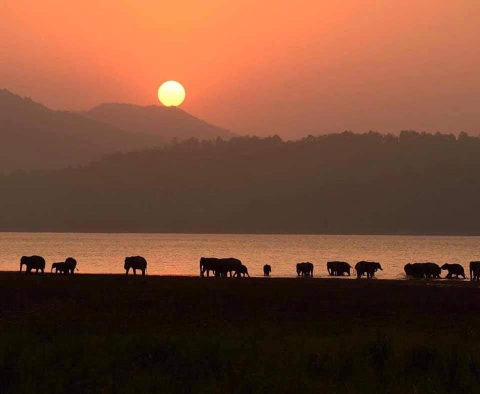 Wild Lake Side อุดาวาลาเว ภายนอก รูปภาพ