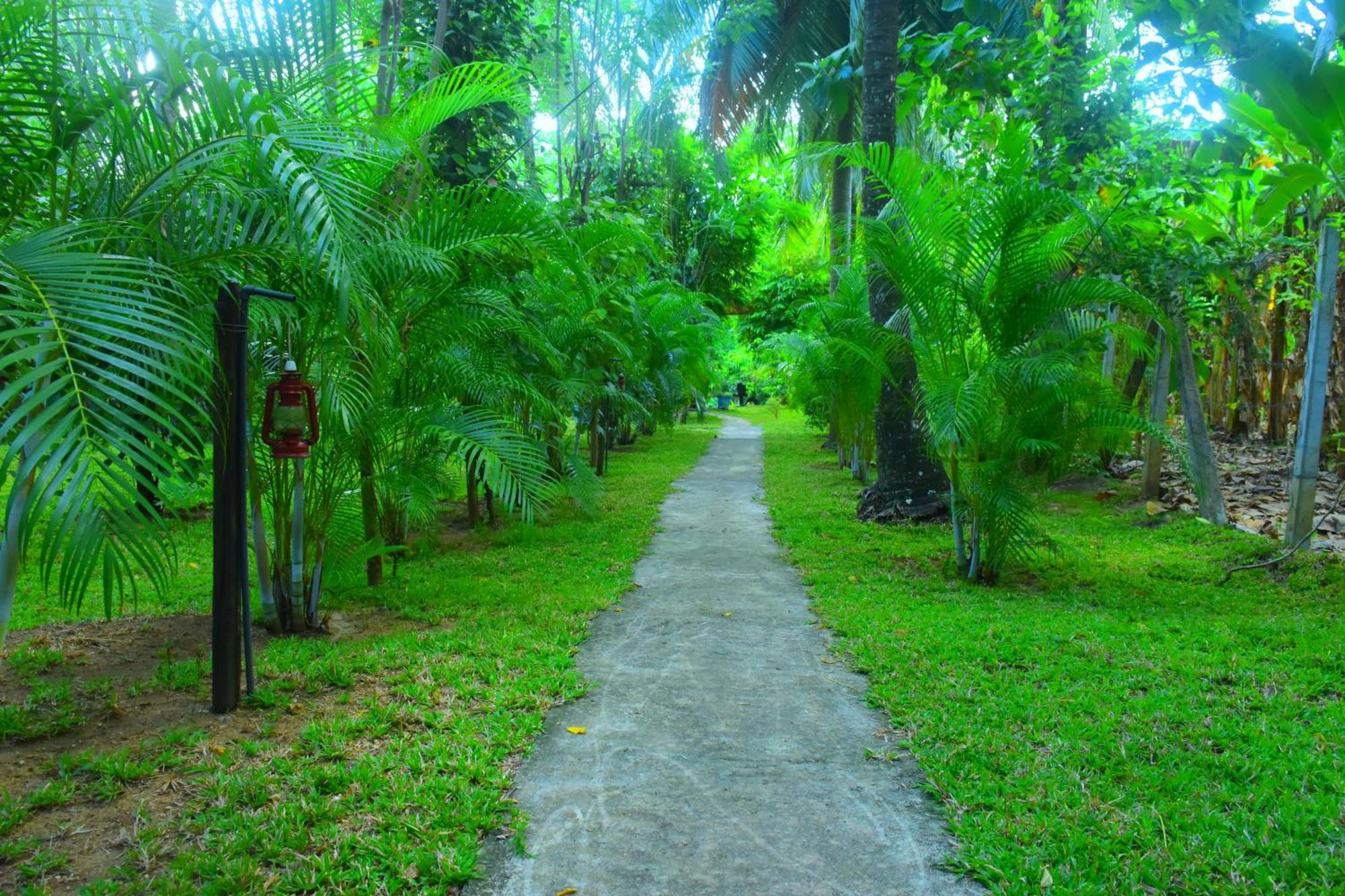 Wild Lake Side อุดาวาลาเว ภายนอก รูปภาพ