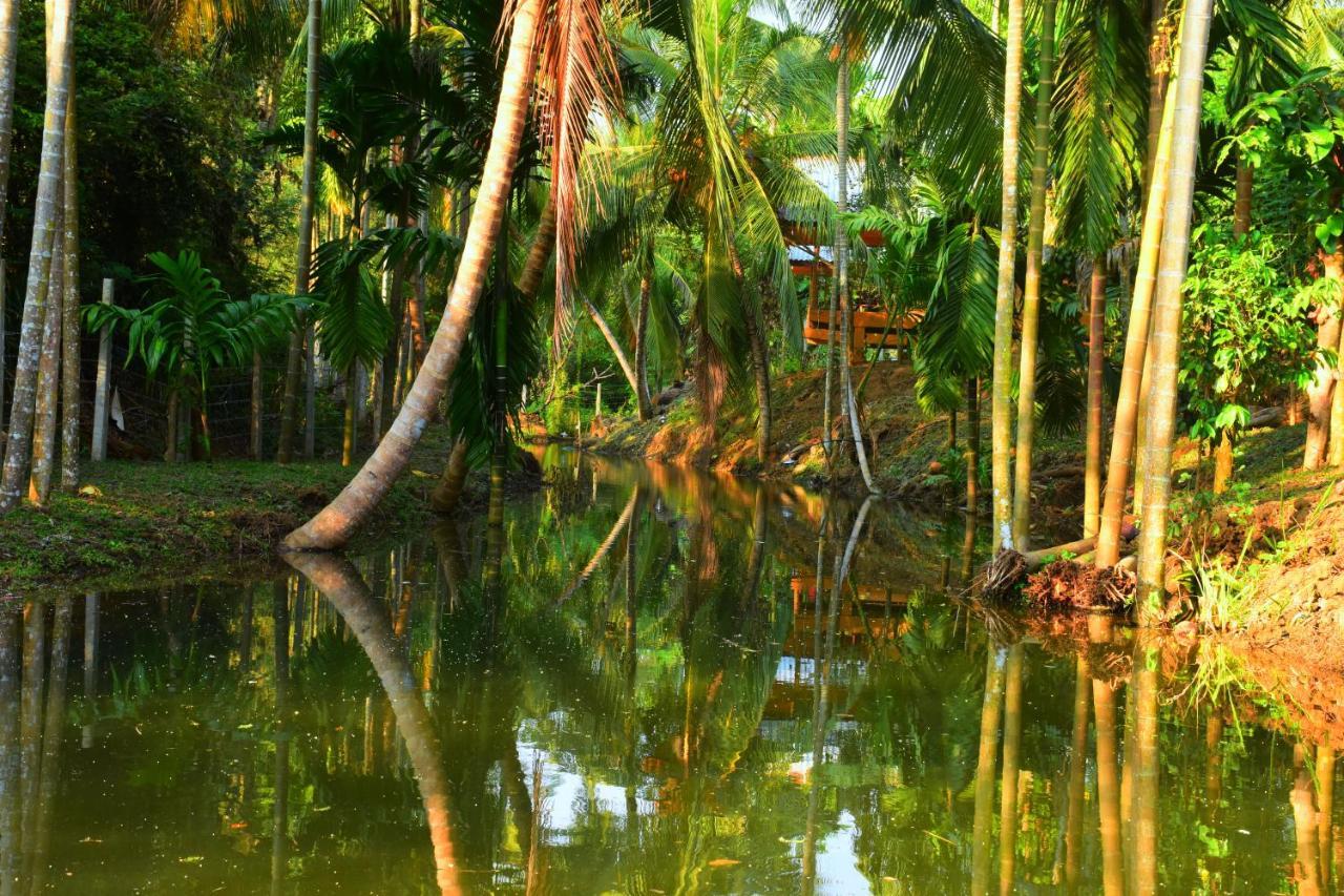 Wild Lake Side อุดาวาลาเว ภายนอก รูปภาพ
