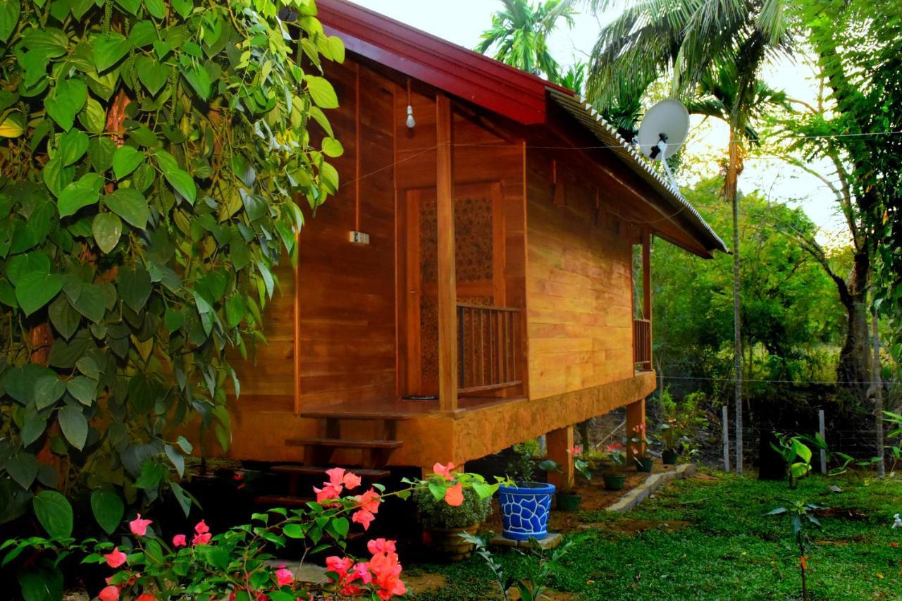 Wild Lake Side อุดาวาลาเว ภายนอก รูปภาพ