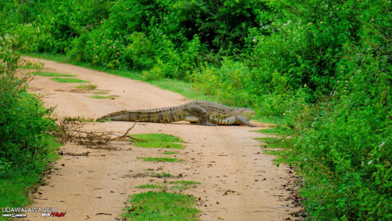 Wild Lake Side อุดาวาลาเว ภายนอก รูปภาพ