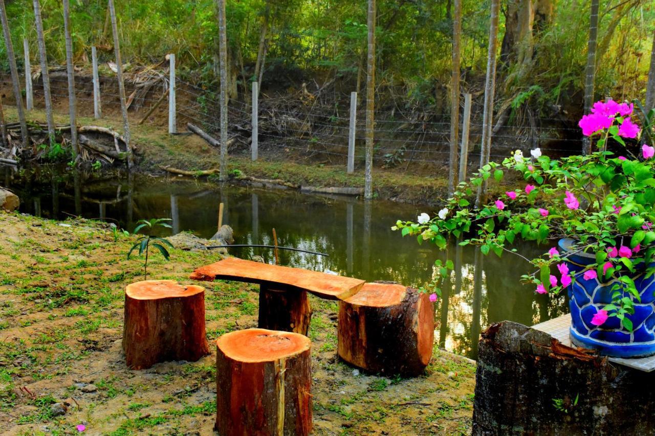 Wild Lake Side อุดาวาลาเว ภายนอก รูปภาพ
